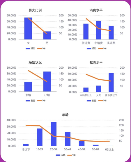 口红行业人群画像