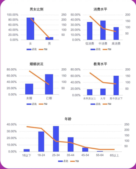 粉底行业人群画像